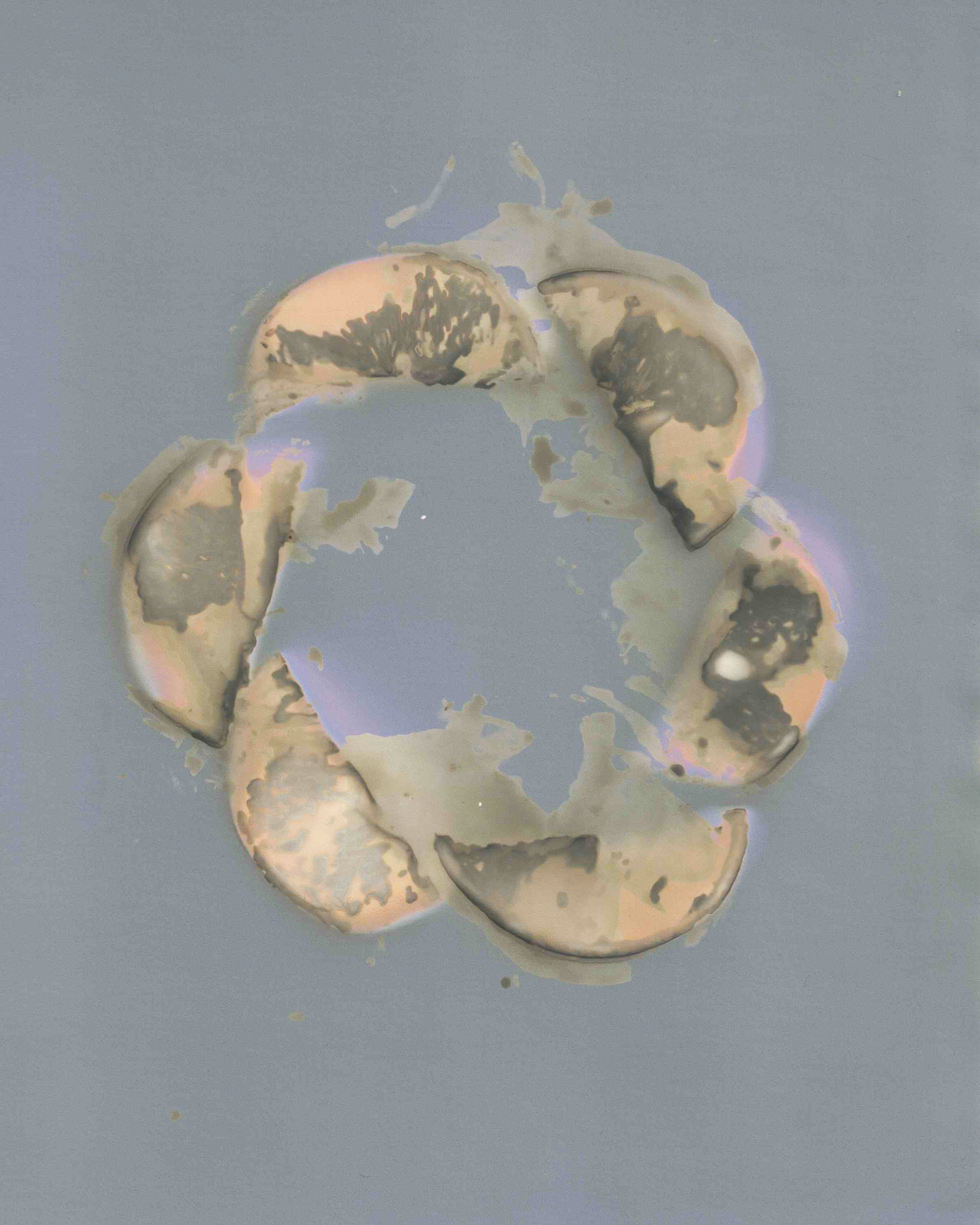 Decompose #4 by Taylor Torres